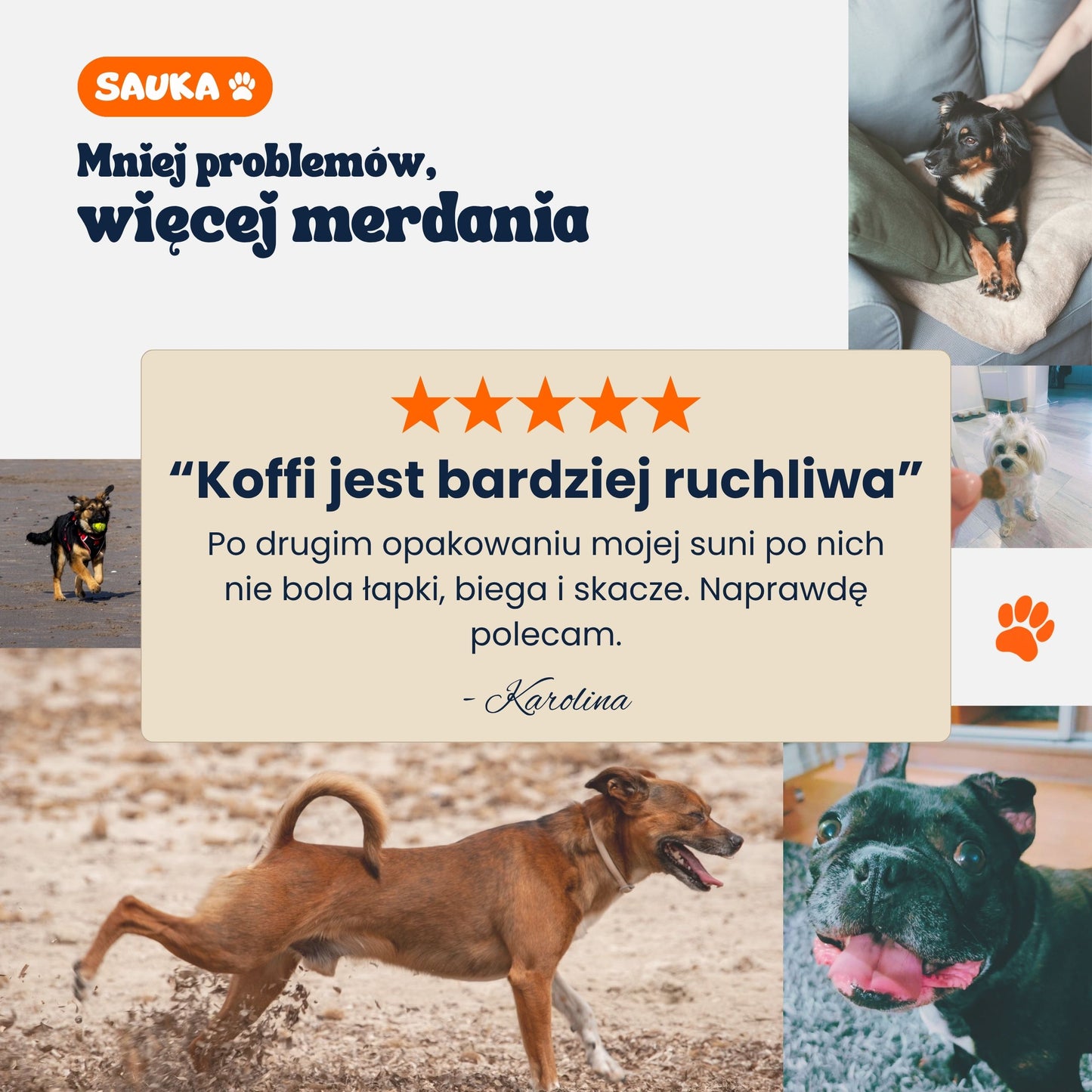 Mobilność+ suplement na stawy