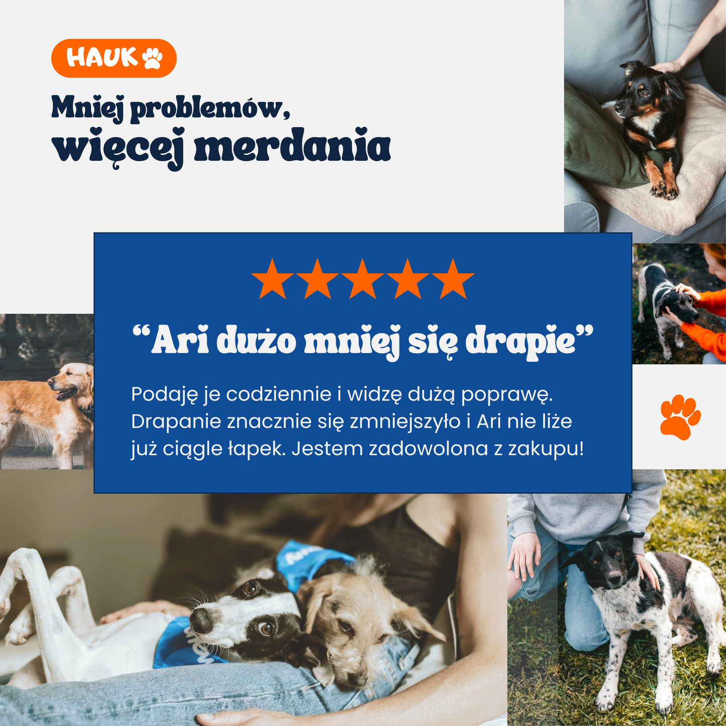 Probiotyk+ wsparcie na jelita i drapanie