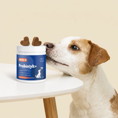 Probiotic+ intestinal and scratching support