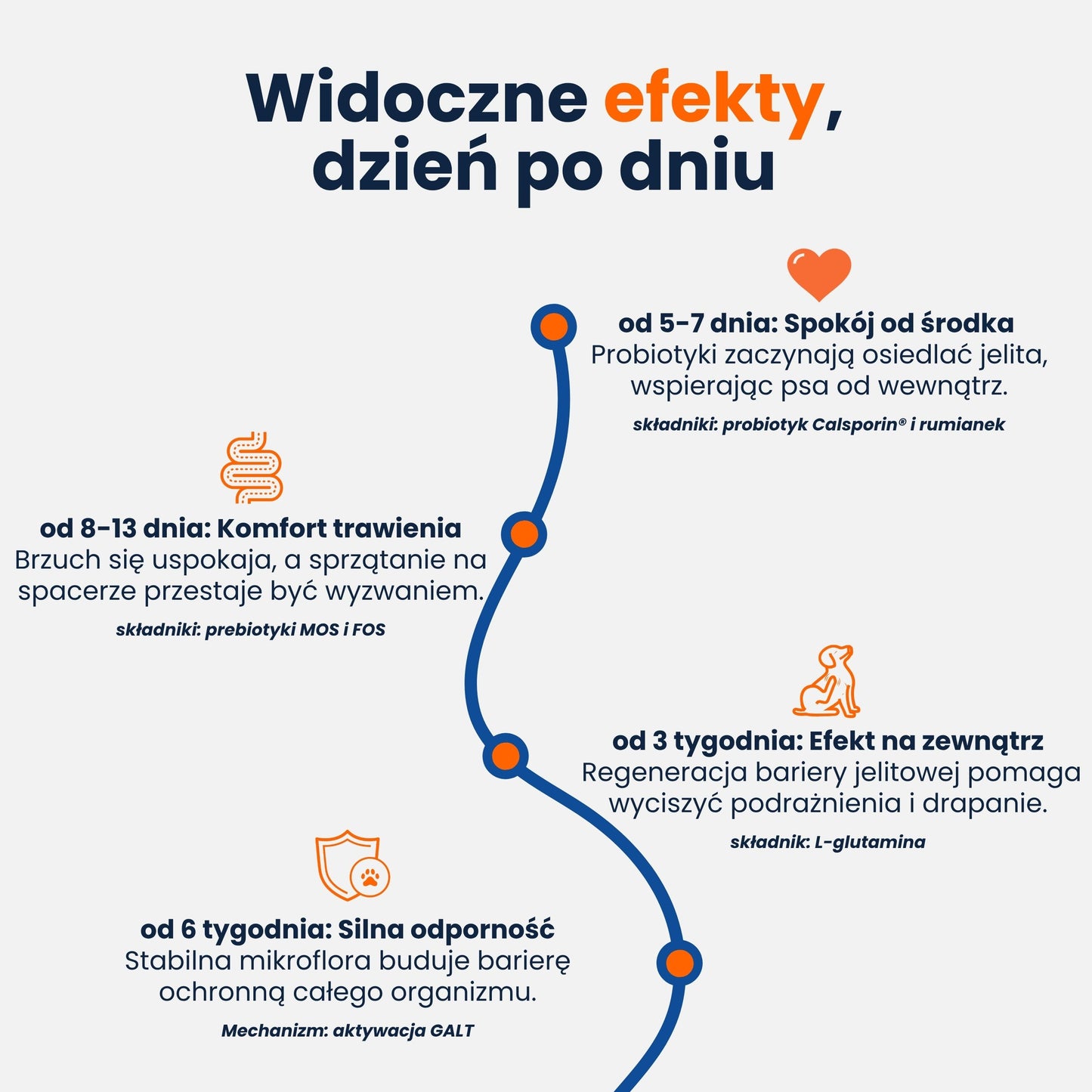 Probiotic+ intestinal and scratching support