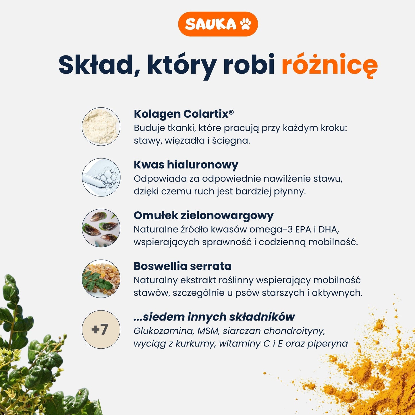 Mobilność+ suplement na stawy