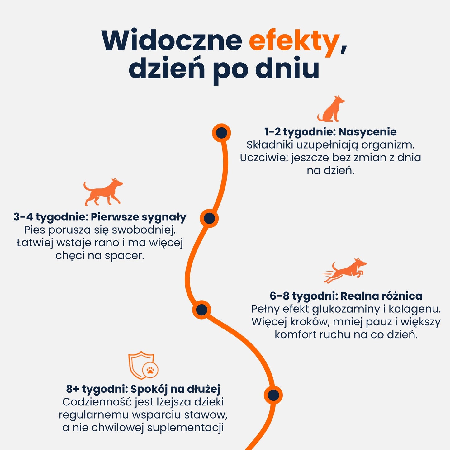 Mobilność+ suplement na stawy