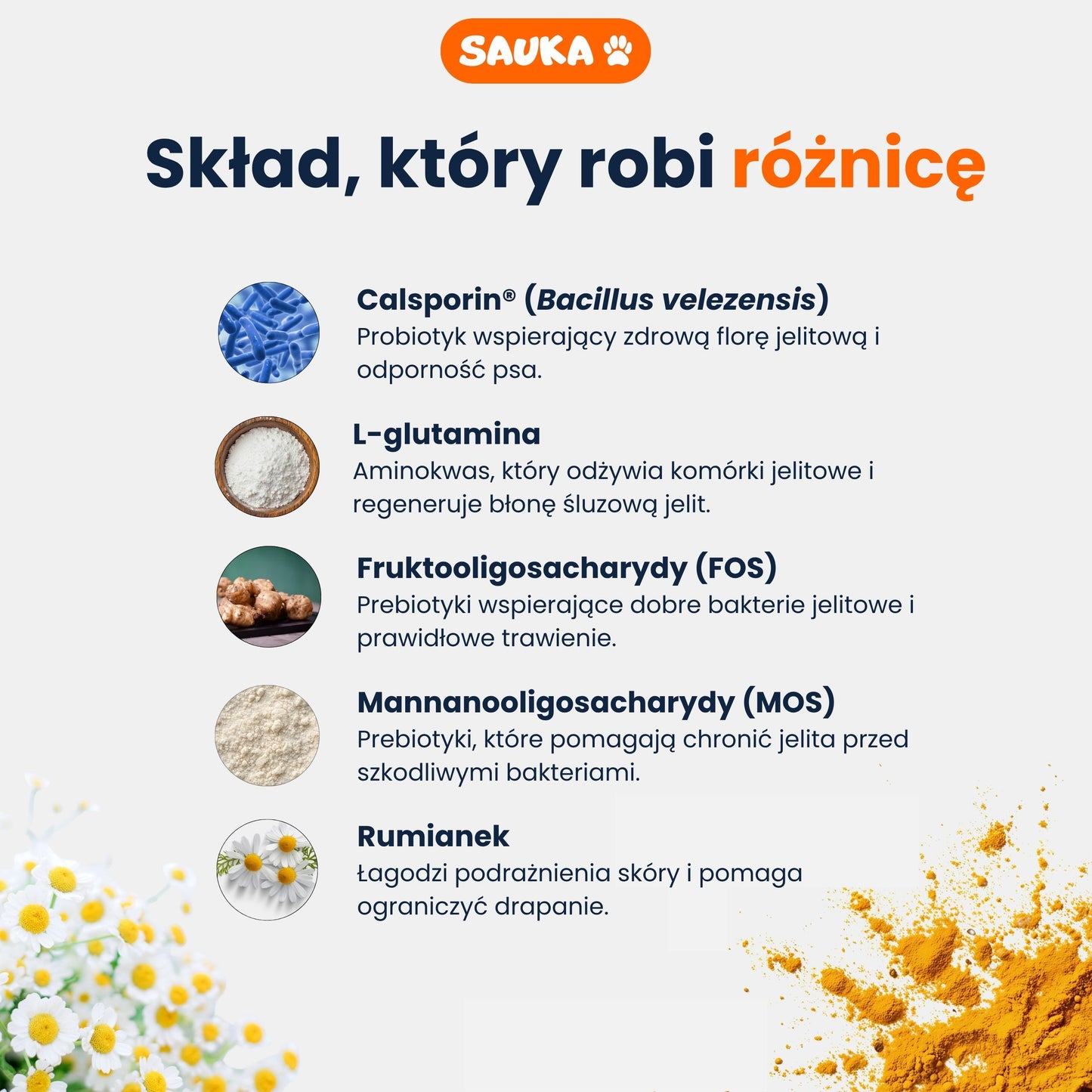 Probiotic+ intestinal and scratching support