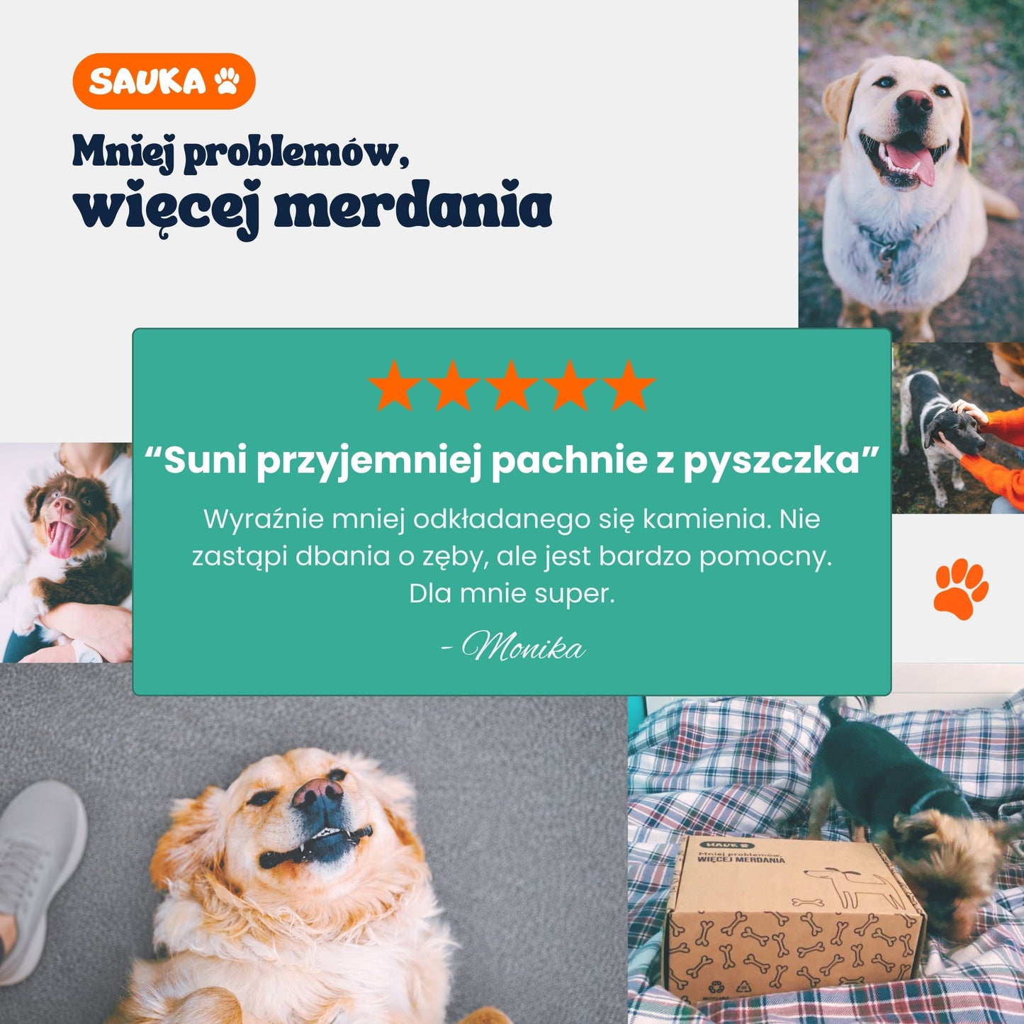 Dental+ proszek dentystyczny na zęby
