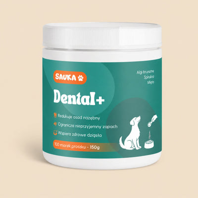 Dental+ proszek dentystyczny na zęby