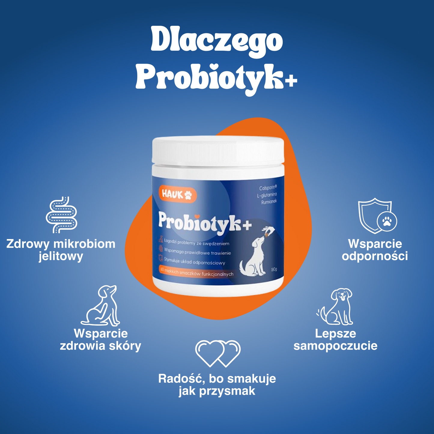 Probiotyk+ wsparcie na jelita i drapanie